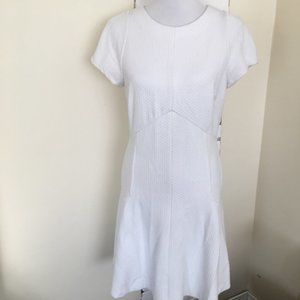 Banana Republic Ivory Textured Dress 12 Fit Flare